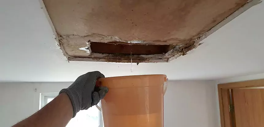 Ceiling Mold Repair Prairie Village