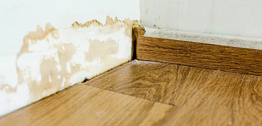 Professional Fix Water Damaged Wood Services in Prairie Village, KS